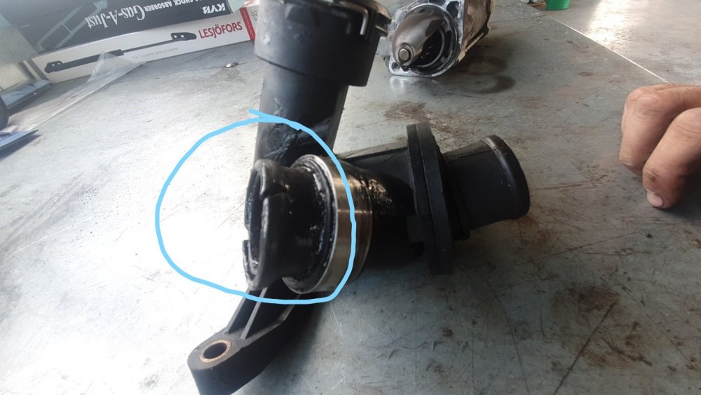 Inkedthermostat rubber_LI.jpg